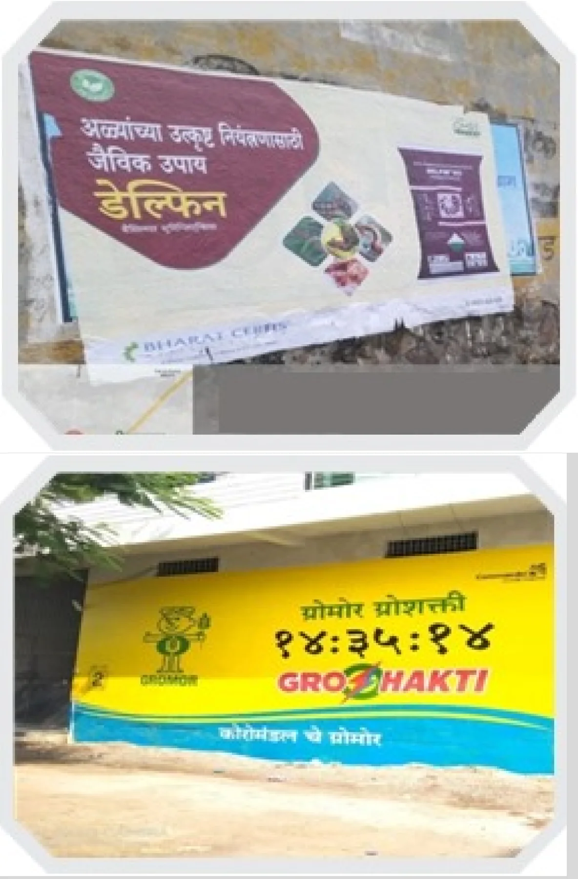 social-media-fateh-rural